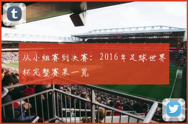从小组赛到决赛:2016年足球世界杯完整赛果一览