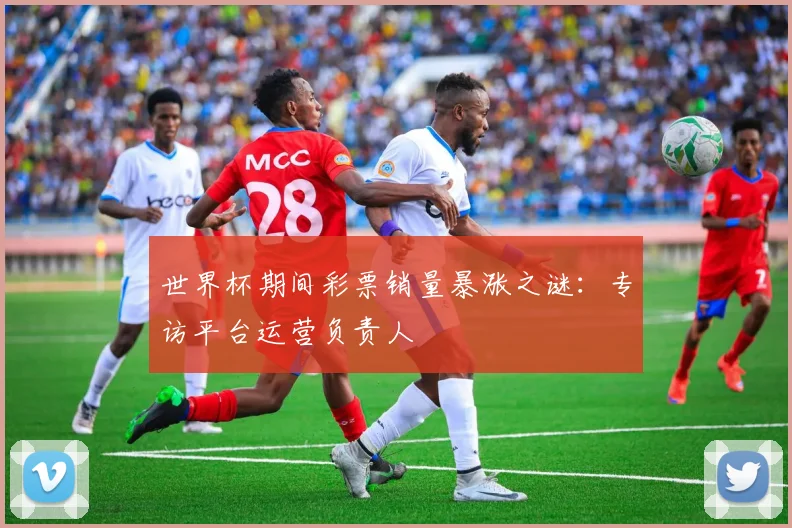世界杯期间彩票销量暴涨之谜:专访平台运营负责人