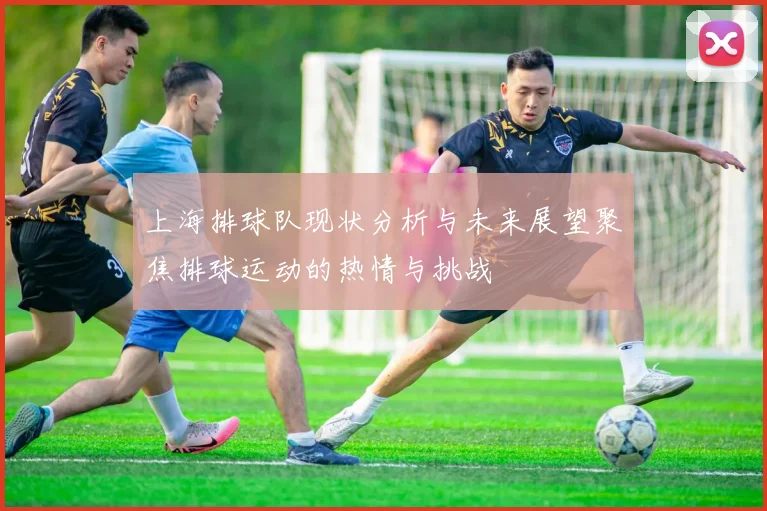 上海排球队现状分析与未来展望聚焦排球运动的热情与挑战