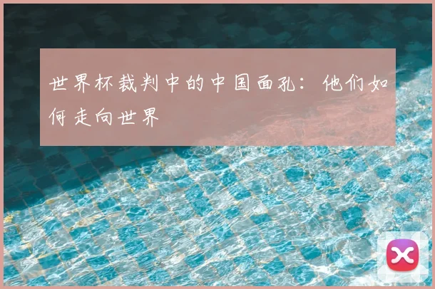 世界杯裁判中的中国面孔:他们如何走向世界