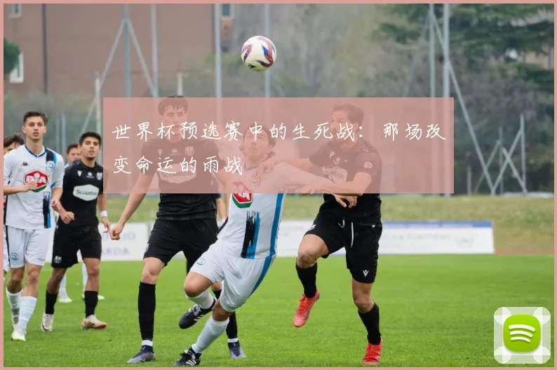 世界杯预选赛中的生死战:那场改变命运的雨战
