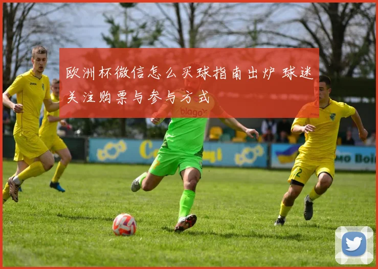 欧洲杯微信怎么买球指南出炉 球迷关注购票与参与方式