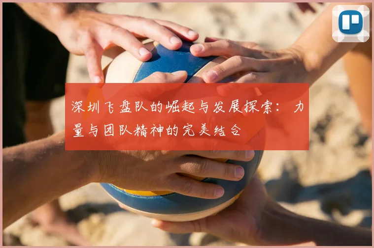 深圳飞盘队的崛起与发展探索:力量与团队精神的完美结合