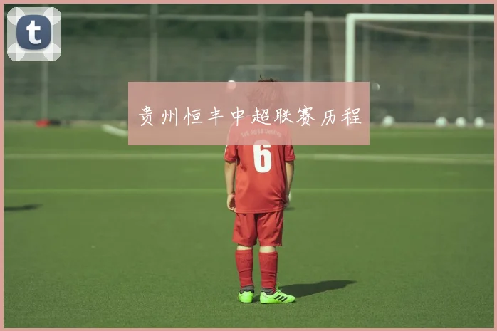 贵州恒丰中超联赛历程